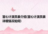 宫心计演员表介绍(宫心计演员表详细情况如何)
