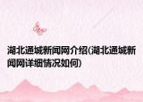 湖北通城新闻网介绍(湖北通城新闻网详细情况如何)