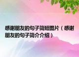 感谢朋友的句子简短图片（感谢朋友的句子简介介绍）