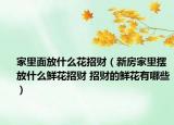 家里面放什么花招财（新房家里摆放什么鲜花招财 招财的鲜花有哪些）