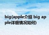 big(apple介绍 big apple详细情况如何)
