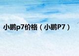 小鹏p7价格（小鹏P7）
