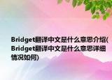 Bridget翻译中文是什么意思介绍(Bridget翻译中文是什么意思详细情况如何)