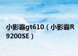 小影霸gt610（小影霸R9200SE）