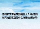 汤圆和元宵的区别是什么介绍(汤圆和元宵的区别是什么详细情况如何)