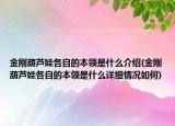 金刚葫芦娃各自的本领是什么介绍(金刚葫芦娃各自的本领是什么详细情况如何)