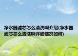 净水器滤芯怎么清洗啊介绍(净水器滤芯怎么清洗啊详细情况如何)