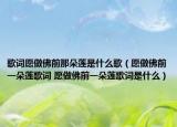 歌词愿做佛前那朵莲是什么歌（愿做佛前一朵莲歌词 愿做佛前一朵莲歌词是什么）