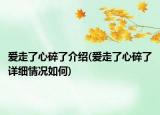 爱走了心碎了介绍(爱走了心碎了详细情况如何)