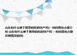 山东有什么便于携带的吃的特产吗(一时间真有点蒙介绍 山东有什么便于携带的吃的特产吗 一时间真有点蒙详细情况如何)