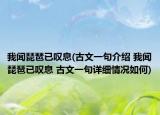 我闻琵琶已叹息(古文一句介绍 我闻琵琶已叹息 古文一句详细情况如何)