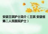 安徽王琪护士简介（王琪 安徽省第二人民医院护士）