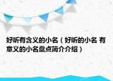 好听有含义的小名（好听的小名 有意义的小名盘点简介介绍）