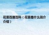花蕾百度百科（花蕾是什么简介介绍）