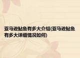 亚马逊鲇鱼有多大介绍(亚马逊鲇鱼有多大详细情况如何)