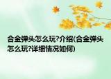 合金弹头怎么玩?介绍(合金弹头怎么玩?详细情况如何)