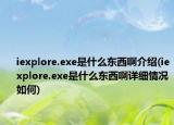 iexplore.exe是什么东西啊介绍(iexplore.exe是什么东西啊详细情况如何)