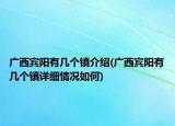 广西宾阳有几个镇介绍(广西宾阳有几个镇详细情况如何)