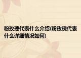 粉玫瑰代表什么介绍(粉玫瑰代表什么详细情况如何)