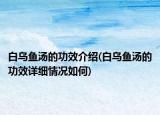 白乌鱼汤的功效介绍(白乌鱼汤的功效详细情况如何)