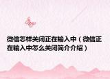 微信怎样关闭正在输入中（微信正在输入中怎么关闭简介介绍）
