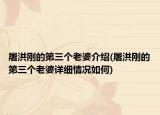 屠洪刚的第三个老婆介绍(屠洪刚的第三个老婆详细情况如何)