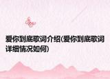 爱你到底歌词介绍(爱你到底歌词详细情况如何)