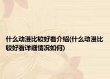 什么动漫比较好看介绍(什么动漫比较好看详细情况如何)