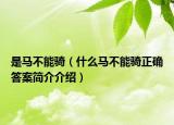 是马不能骑（什么马不能骑正确答案简介介绍）