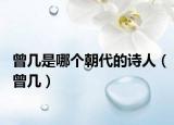 曾几是哪个朝代的诗人（曾几）