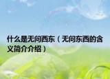 什么是无问西东（无问东西的含义简介介绍）