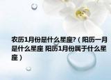 农历1月份是什么星座?（阳历一月是什么星座 阳历1月份属于什么星座）