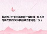 歌词留不住你的温柔是什么歌曲（留不住的温柔歌词 留不住的温柔歌词是什么）