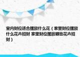 室内财位适合摆放什么花（家里财位摆放什么花卉招财 家里财位摆放哪些花卉招财）
