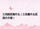 三月的花有什么（三月是什么花简介介绍）