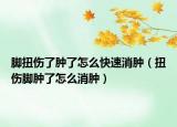 脚扭伤了肿了怎么快速消肿（扭伤脚肿了怎么消肿）