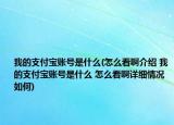 我的支付宝账号是什么(怎么看啊介绍 我的支付宝账号是什么 怎么看啊详细情况如何)