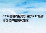 0737是哪得区号介绍(0737是哪得区号详细情况如何)