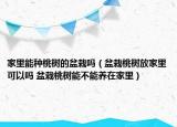 家里能种桃树的盆栽吗（盆栽桃树放家里可以吗 盆栽桃树能不能养在家里）
