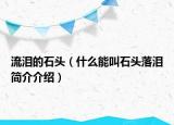 流泪的石头（什么能叫石头落泪简介介绍）