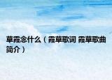 草霞念什么（霞草歌词 霞草歌曲简介）