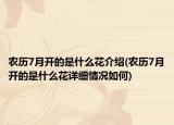 农历7月开的是什么花介绍(农历7月开的是什么花详细情况如何)