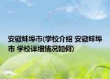 安徽蚌埠市(学校介绍 安徽蚌埠市 学校详细情况如何)