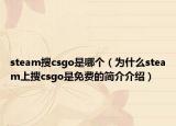 steam搜csgo是哪个（为什么steam上搜csgo是免费的简介介绍）
