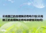 云南丽江的走婚族还有吗介绍(云南丽江的走婚族还有吗详细情况如何)
