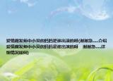 爱情魔发师中小贝的妈妈是谁出演的呀(谢谢急.....介绍 爱情魔发师中小贝的妈妈是谁出演的呀    谢谢急.....详细情况如何)