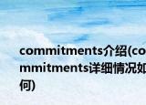 commitments介绍(commitments详细情况如何)