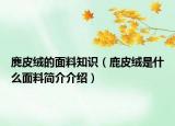 麂皮绒的面料知识（鹿皮绒是什么面料简介介绍）