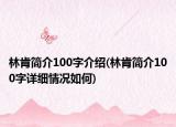 林肯简介100字介绍(林肯简介100字详细情况如何)