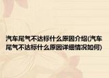 汽车尾气不达标什么原因介绍(汽车尾气不达标什么原因详细情况如何)